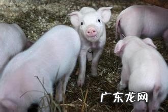 打牌如何找风水宝地看