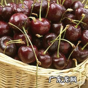 什么样的果盘风水好 果盘一般买什么颜色好