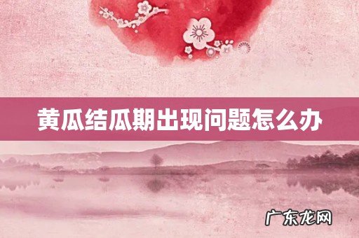 黄瓜结瓜期出现问题怎么办