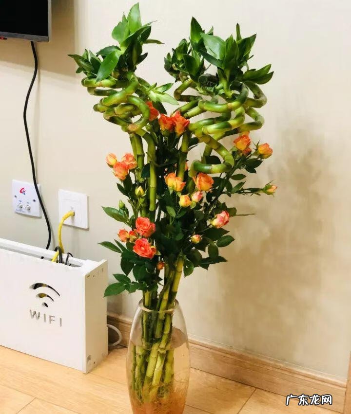 什么花家里养比较吉利 风水上养什么花最好