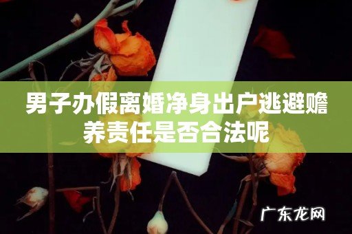 男子办假离婚净身出户逃避赡养责任是否合法呢