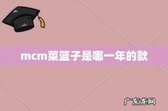 mcm菜篮子是哪一年的款