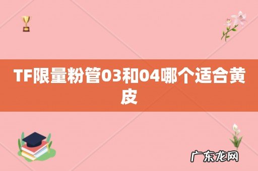 TF限量粉管03和04哪个适合黄皮
