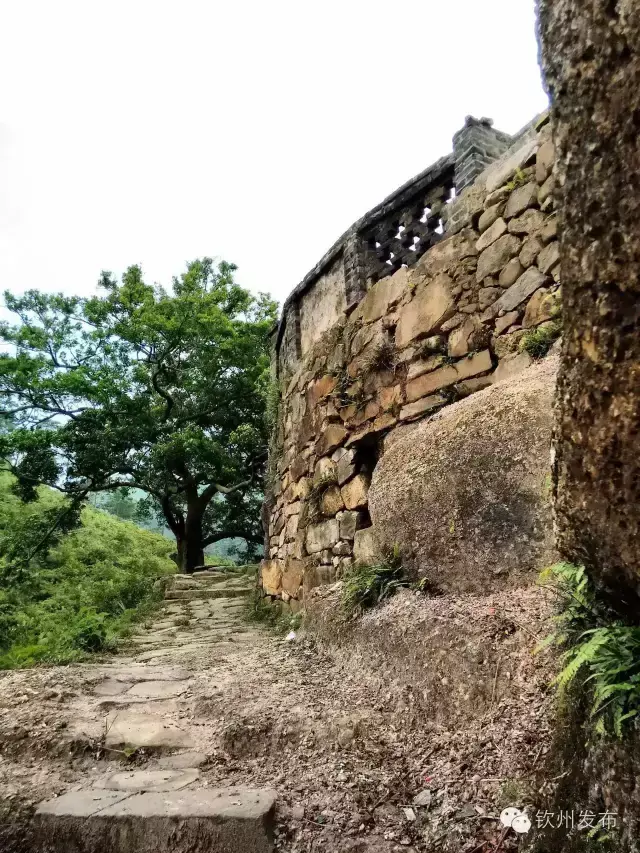 仙人上岭风水宝地图片 仙女岭风水宝地在哪