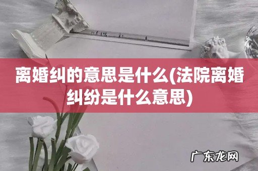 法院离婚纠纷是什么意思 离婚纠的意思是什么