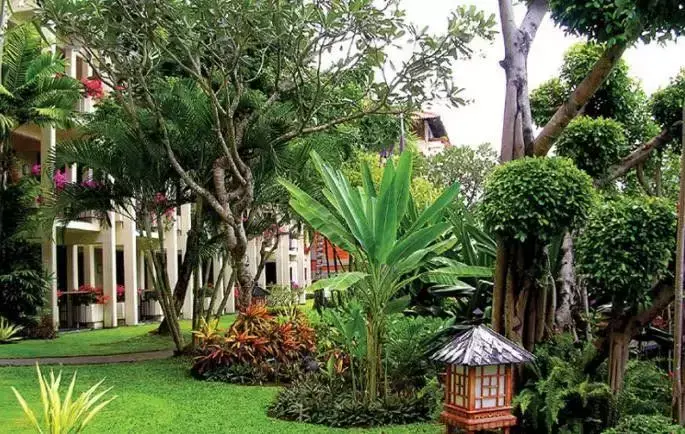 玄关银杏叶装饰风水 银杏叶摆件风水寓意