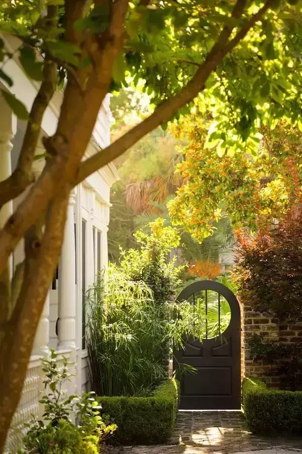 玄关银杏叶装饰风水 银杏叶摆件风水寓意