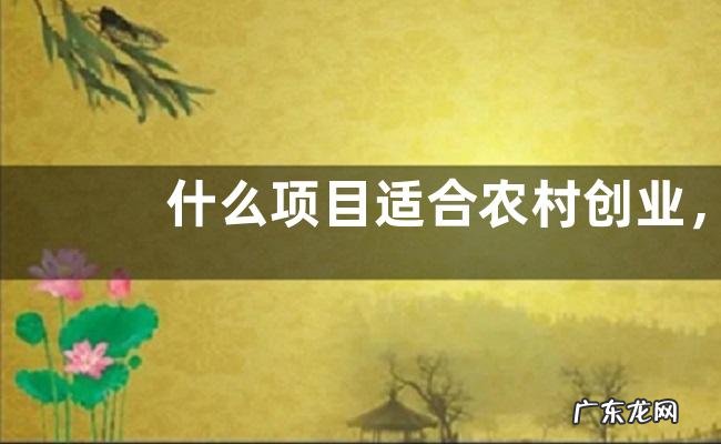 什么项目适合农村创业,这四个是关键