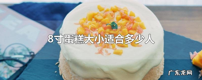 8寸蛋糕大小适合多少人
