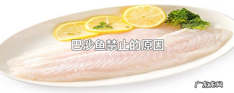 巴沙鱼禁止的原因