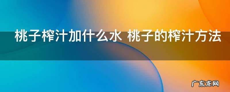 桃子榨汁加什么水 桃子的榨汁方法
