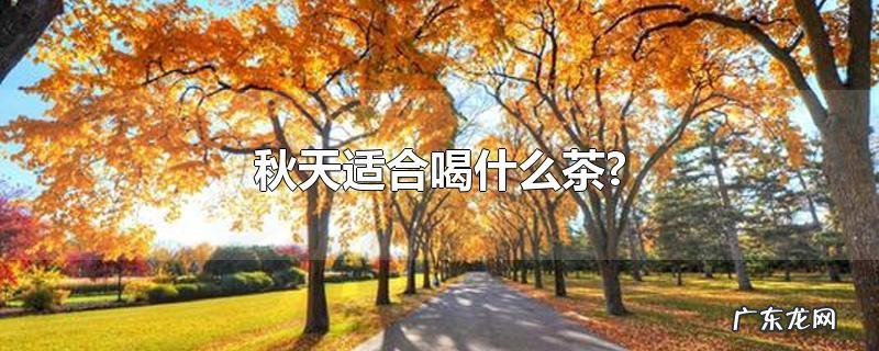 秋天适合喝什么茶?