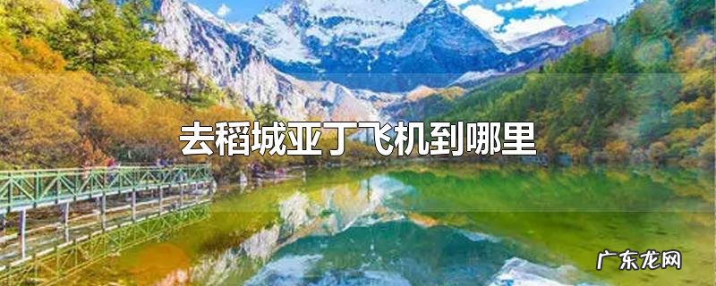 去稻城亚丁飞机到哪里
