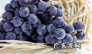 葡萄能榨汁喝吗 葡萄怎么榨汁
