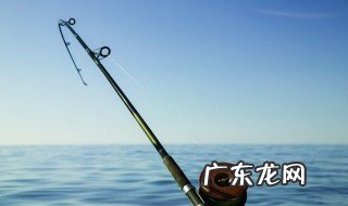 新手学钓鱼需要注意什么 新手学钓鱼需要注意事项