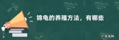 锦龟的养殖方法，有哪些要点