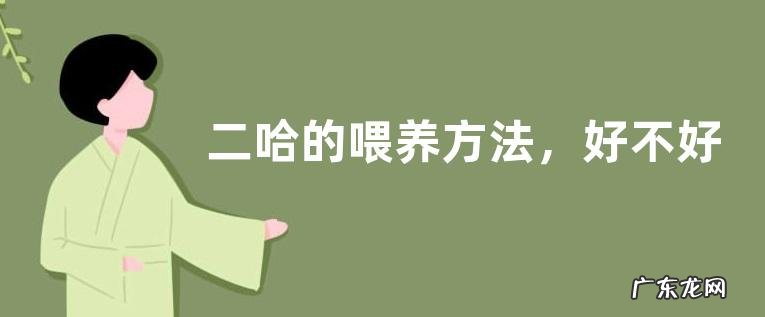 二哈的喂养方法,好不好养
