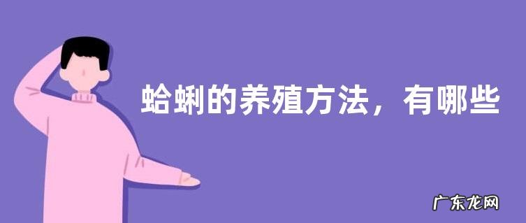 蛤蜊的养殖方法,有哪些要点