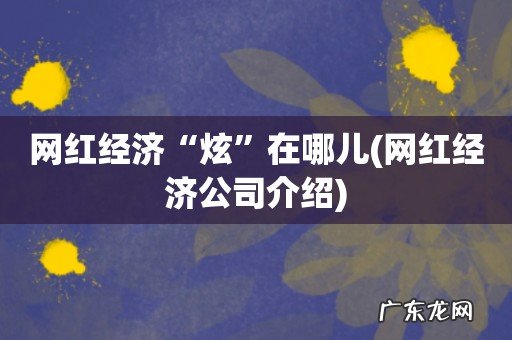 网红经济公司介绍 网红经济“炫”在哪儿