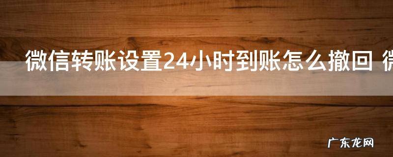 微信转账设置24小时到账怎么撤回 微信转账设置24小时到账如何撤回
