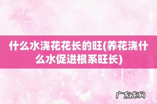 养花浇什么水促进根系旺长 什么水浇花花长的旺