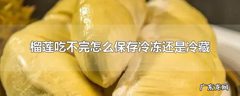 榴莲吃不完怎么保存冷冻还是冷藏