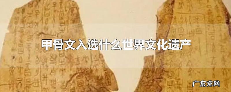 甲骨文入选什么世界文化遗产