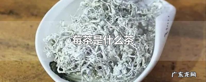 莓茶是什么茶