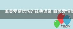 唯美爱情忧伤的经典语录 唯美爱情忧伤的经典语录有哪些