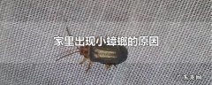 家里出现小蟑螂的原因