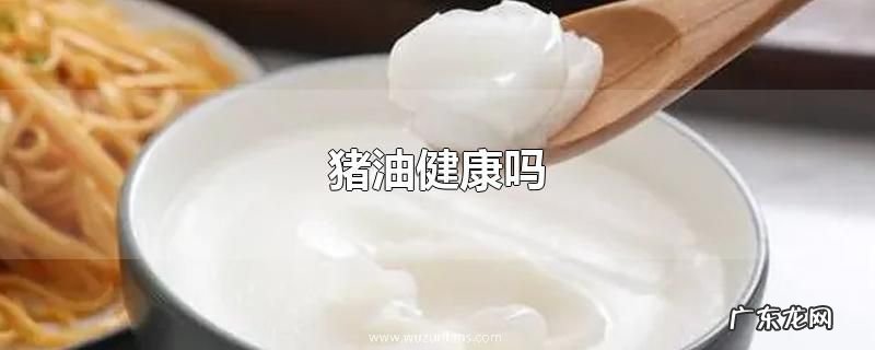 猪油健康吗