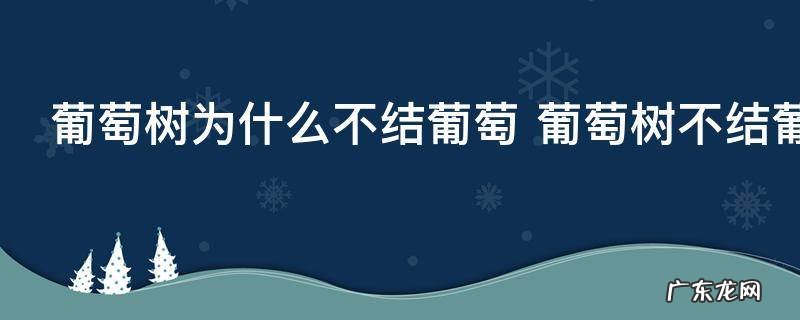 葡萄树为什么不结葡萄 葡萄树不结葡萄原因
