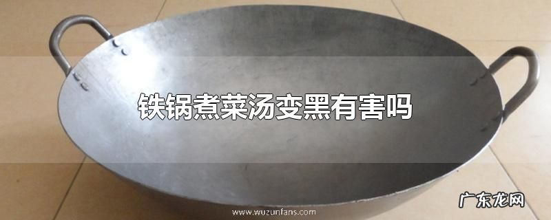 铁锅煮菜汤变黑有害吗