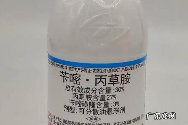 苄嘧丙草胺对秧苗有没有影响