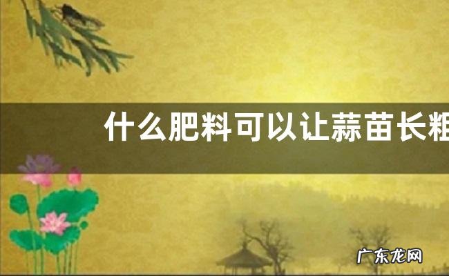 什么肥料可以让蒜苗长粗