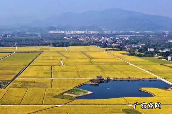 基本农田倒挂的含义