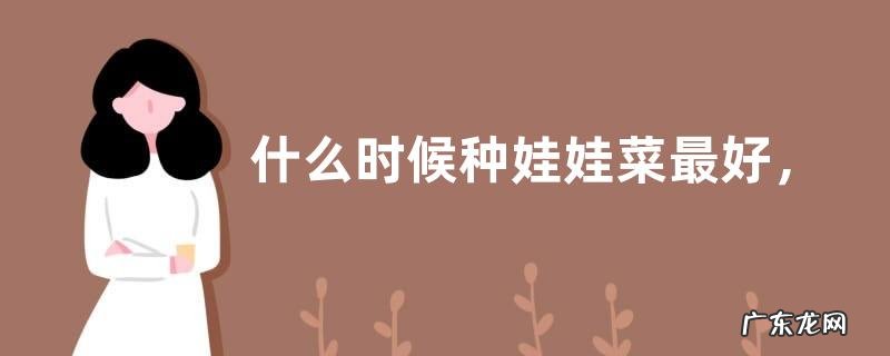 什么时候种娃娃菜最好，种植娃娃菜的效益如何