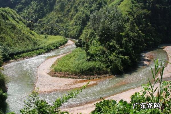 河南的农作物有哪些