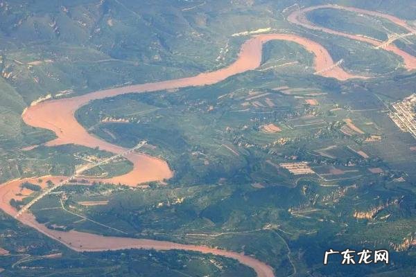 河南的农作物有哪些