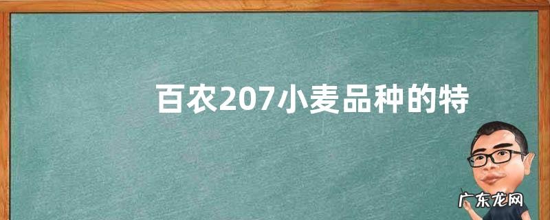 百农207小麦品种的特征特性