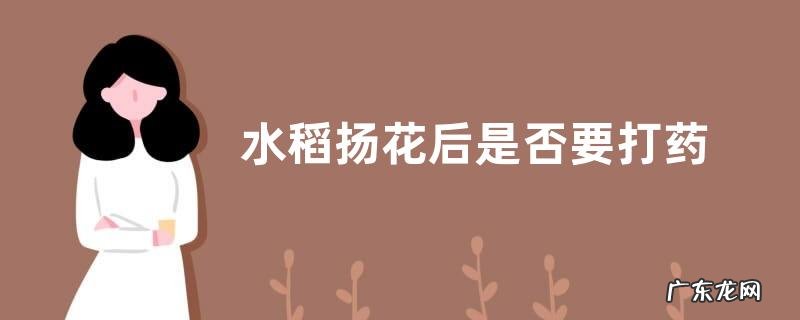 水稻扬花后是否要打药