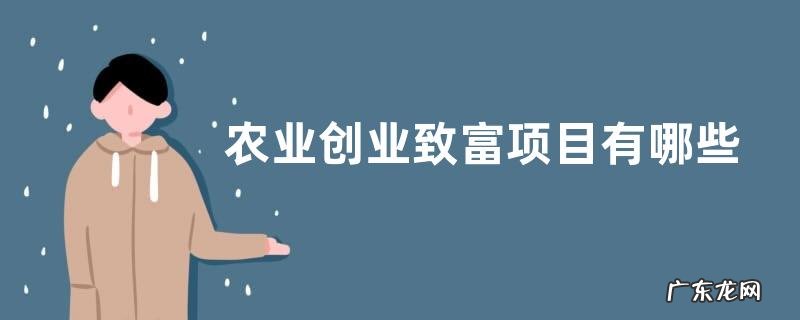 农业创业致富项目有哪些,根据所在地的优势进行养殖种植