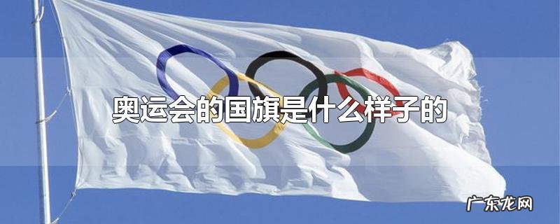 奥运会的国旗是什么样子的