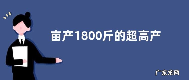 亩产1800斤的超高产小麦品种