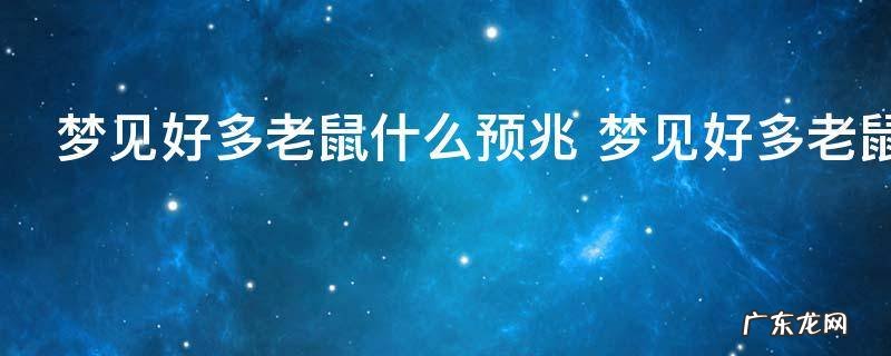 梦见好多老鼠什么预兆 梦见好多老鼠什么意思