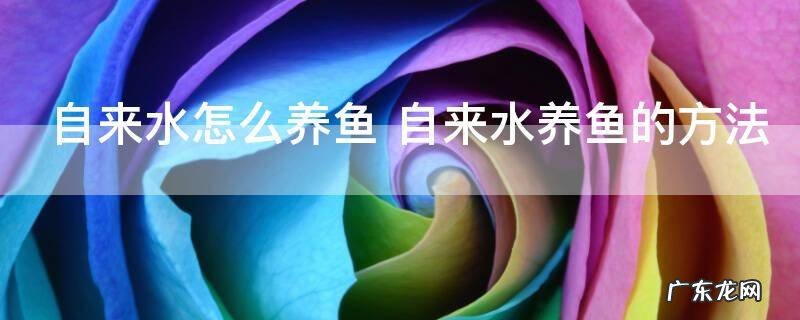 自来水怎么养鱼 自来水养鱼的方法