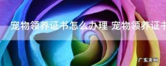 宠物领养证书怎么办理 宠物领养证书如何办理