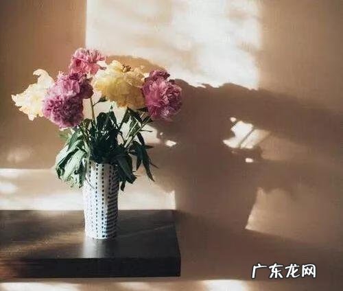 父母的头发埋在地里能占风水吗好吗