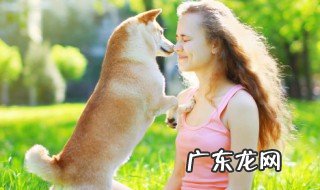 第一次带狗狗坐车需要注意什么 第一次带狗狗坐车需要注意哪些