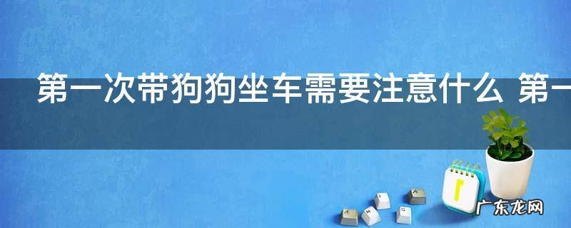 第一次带狗狗坐车需要注意什么 第一次带狗狗坐车需要注意哪些